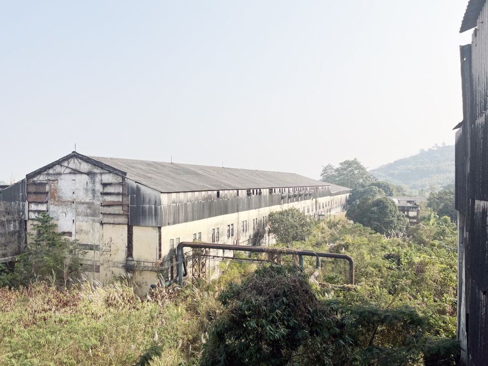 The Tuli Paper Mill located in Tzudikong, Mokokchung lies in ruins after commercial production stopped in 1992. (Morung Photo)